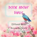 Bird Attraction - Book About Birds - Habitats - Feeding - Different Birds Around the World