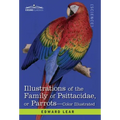 Illustrations of the Family of Psittacidae: or Parrots: the Greater Part of Them Species Hitherto Unfigured Containing Forty-Two Lithographic Plates,