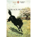 Black Beauty: Abridged for children and with 21 original illustrations by the author (Aziloth Books)