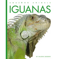 Iguanas