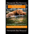 Chesapeake Bay Retriever Training Book for Dogs & Puppies By D!G THIS DOG Training Easy Dog Training, Professional Results, Training Begins from the C