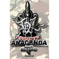 Operation Anaconda and Beyond