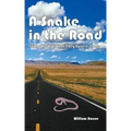 A Snake in the Road: A different take on the U.S. involvement in Vietnam