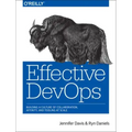 Effective Devops: Building a Culture of Collaboration, Affinity, and Tooling at Scale