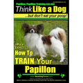 Papillon, Papillon Training AAA AKC: Think Like a Dog, but Don't Eat Your Poop! Papillon Breed Expert Training: Here's EXACTLY How to Train Your Papil