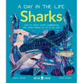 Sharks (a Day in the Life): What Do Great Whites, Hammerheads, and Whale Sharks Get Up to All Day?
