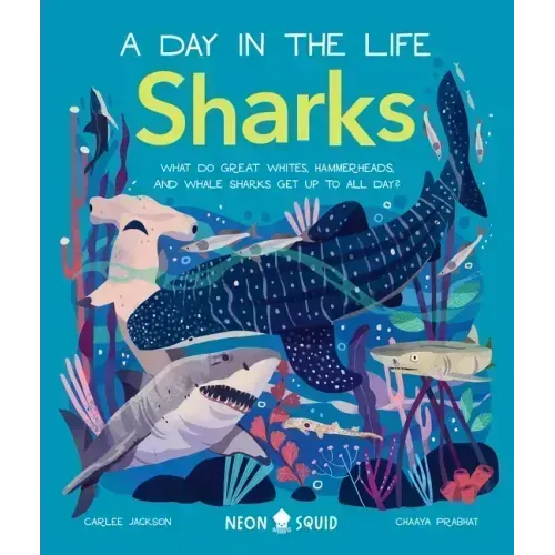 Sharks (a Day in the Life): What Do Great Whites, Hammerheads, and Whale Sharks Get Up to All Day?