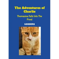 The Adventures of Charlie: Thomasina Falls Into The Pond