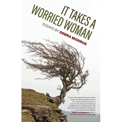 It Takes a Worried Woman: Essays