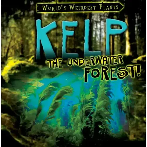 Kelp: The Underwater Forest!
