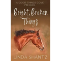Bright, Broken Things: Good Things Come Book 0.5 (A Prequel)