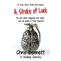 A Stroke of Luck: A Healing Journey Recovering From A Stroke