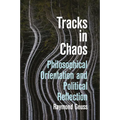 Tracks in Chaos: Philosophical Orientation and Political Reflection