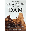 In the Shadow of the Dam: The Aftermath of the Mill River Flood of 1874