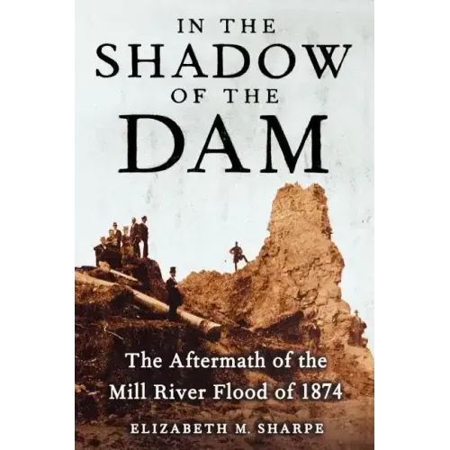 In the Shadow of the Dam: The Aftermath of the Mill River Flood of 1874