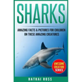 Sharks: Amazing Facts & Pictures for Children on These Amazing Creatures