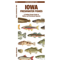 Iowa Freshwater Fishes