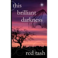 This Brilliant Darkness