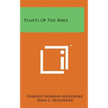 Plants Of The Bible