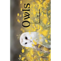 Owls: Grayscale Adult Coloring Book - Travel Size