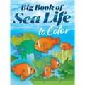Big Book of Sea Life to Color