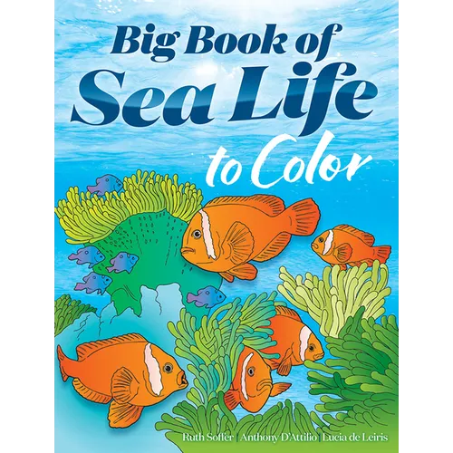 Big Book of Sea Life to Color