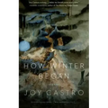 How Winter Began: Stories