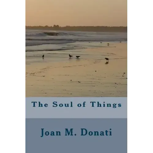 The Soul of Things