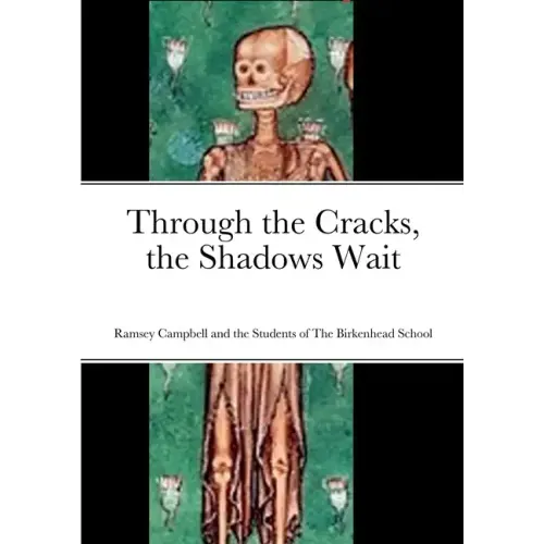 Through the Cracks, the Shadows Wait