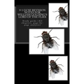 9-1 GCSE REVISION NOTES for WILLIAM GOLDING'S LORD OF THE FLIES: Study guide (All chapters, page-by-page analysis)