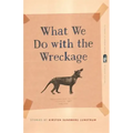 What We Do with the Wreckage: Stories