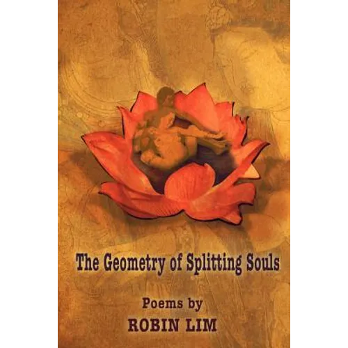The Geometry of Splitting Souls