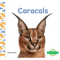 Caracals