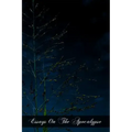 Essays On The Apocalypse