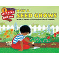 How a Seed Grows