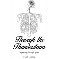 Through the Thunderstorm: A poetry through grief