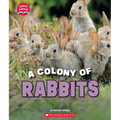 A Colony of Rabbits (Learn About: Animals)