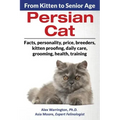 Persian Cat: From Kitten to Senior Age