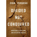 Divided Not Conquered: How Rebels Fracture and Splinters Behave