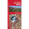 Calgary Birds: A Folding Pocket Guide to Familiar Species