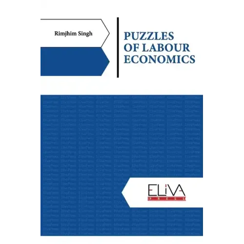Puzzles of Labour Economics