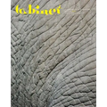 Cabinet 66