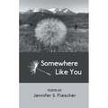 Somewhere Like You