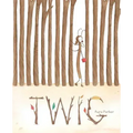 Twig