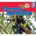 Animales de la Selva Amazónica -- El Mono Araña