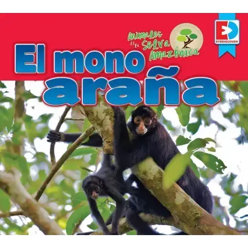 Animales de la Selva Amazónica -- El Mono Araña