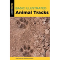 Basic Illustrated Animal Tracks