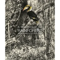 A Walk Through the Rain Forest
