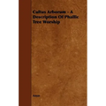 Cultus Arborum - A Description Of Phallic Tree Worship