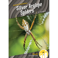 Silver Argiope Spiders